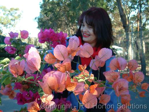 Bougainvillea Arborglen_2 